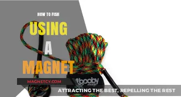 Magnet Fishing 101: Tips and Tricks for Treasure Hunting in Water