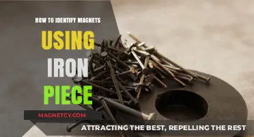 Identifying Magnets Easily: Using Iron Pieces for Quick Detection