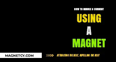 Magnetic Induction Mastery: Simple Steps to Generate Electric Current
