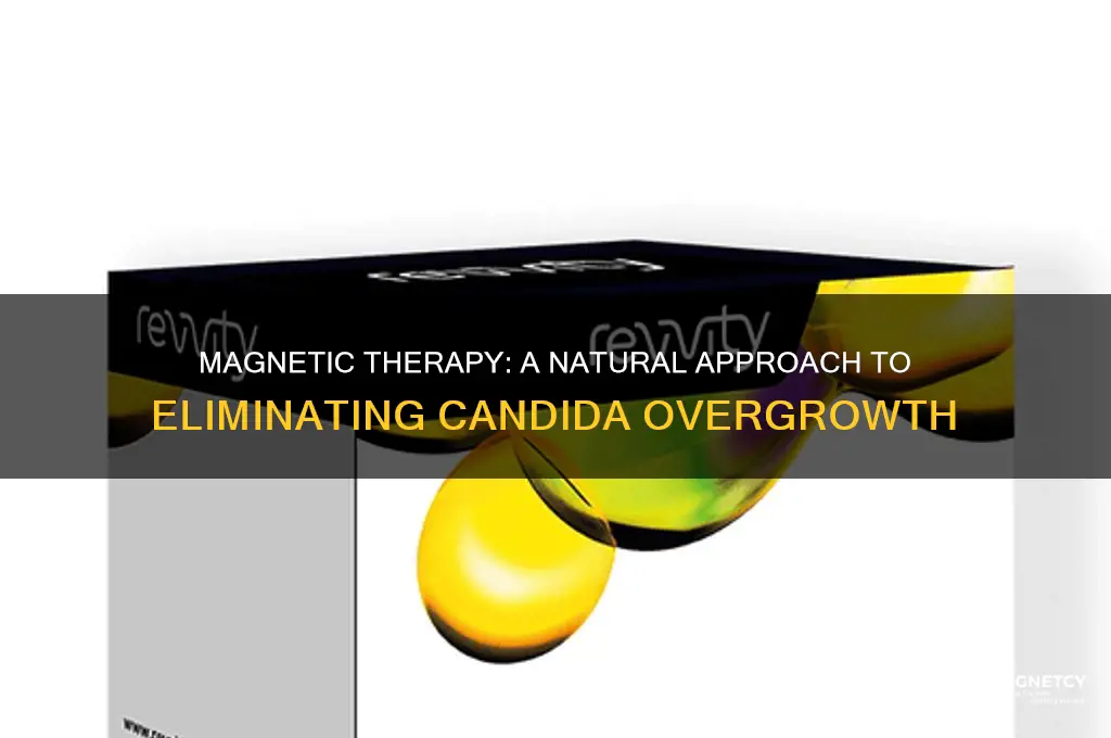 how to kill candida using magnets