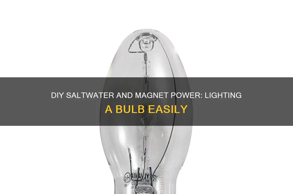 how to light a bulb using salt water and magnet