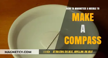 DIY Compass: Magnetizing a Needle for Navigation