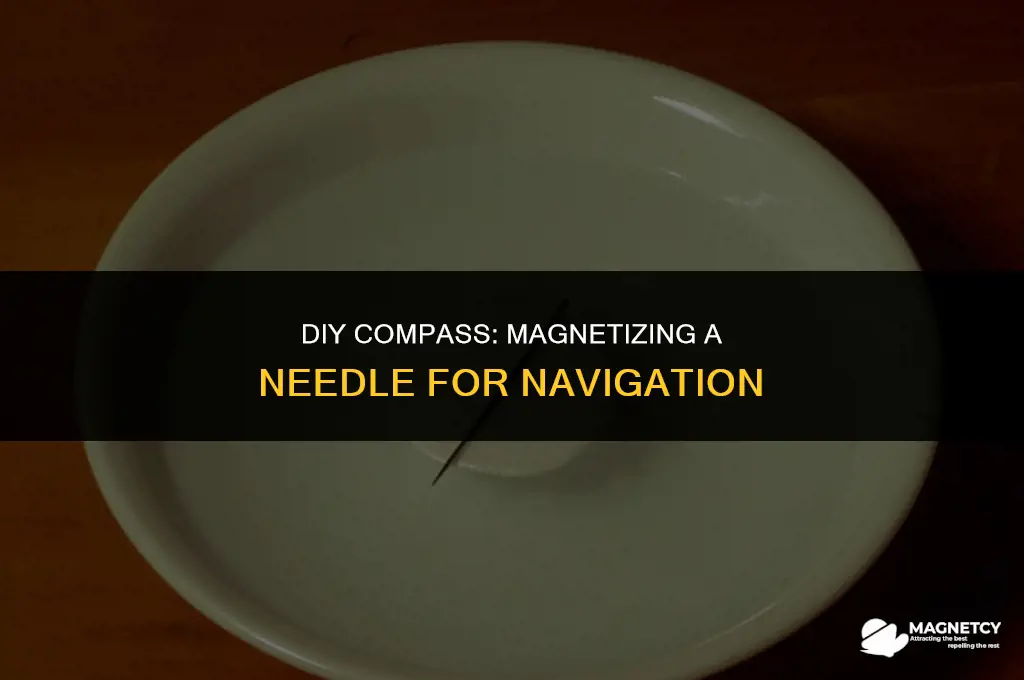how to magnetize a needle to make a compass