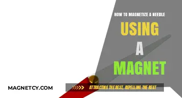 Magnetize a Needle Easily: Simple Steps Using a Magnet