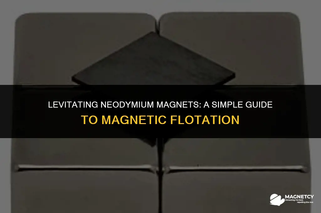 how to make 2 neodinium disk magnets float