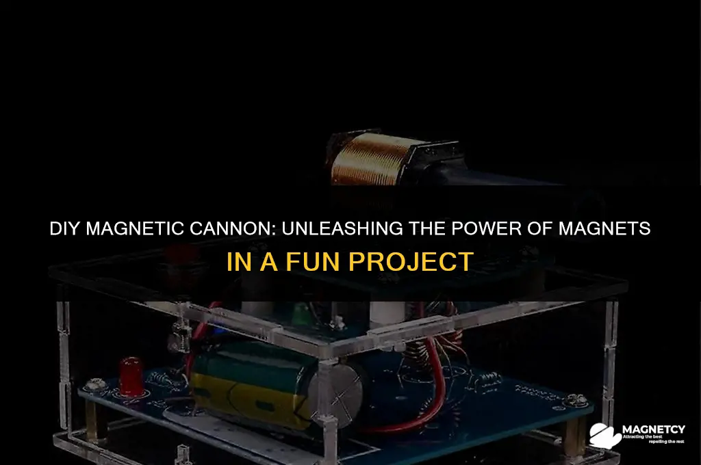 how to make a cannon with magnets