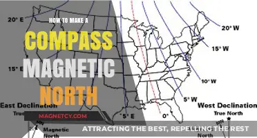Unlocking the Secrets of Magnetic North: A DIY Compass Guide