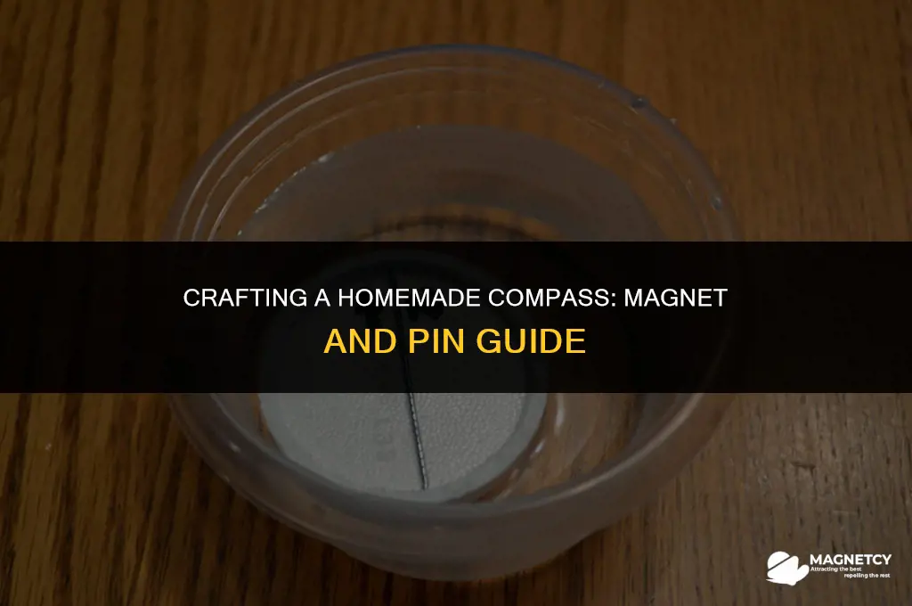 how to make a compass with a magnet and pin