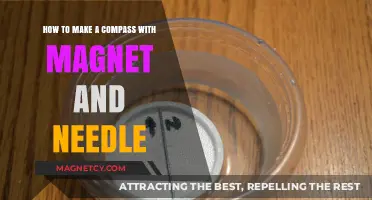 Crafting a Homemade Compass: Magnet and Needle Guide