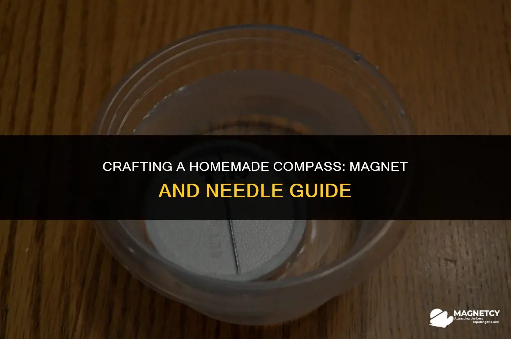 how to make a compass with magnet and needle