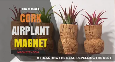 Crafting a Cork Air Plant Magnet: A Simple DIY Guide