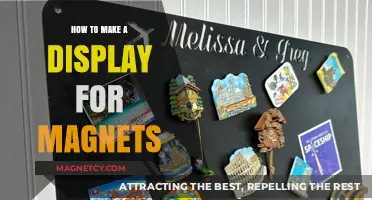 Crafting the Perfect Display for Your Magnet Collection