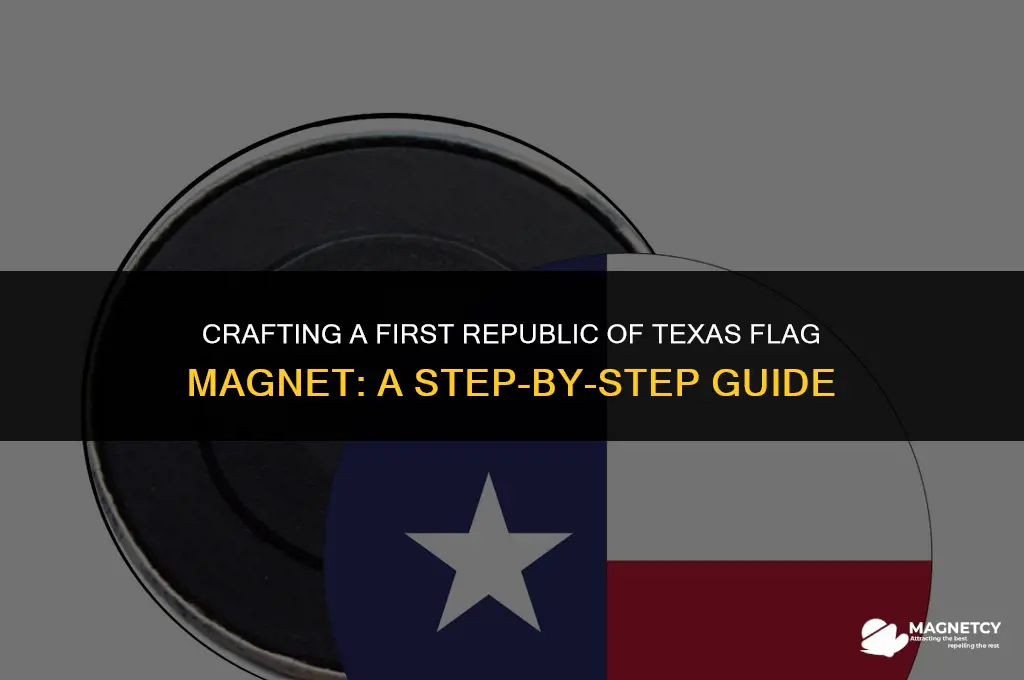 how to make a first republic of texas flag magnet