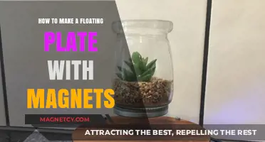 DIY Magnetic Levitation: Crafting a Floating Plate at Home