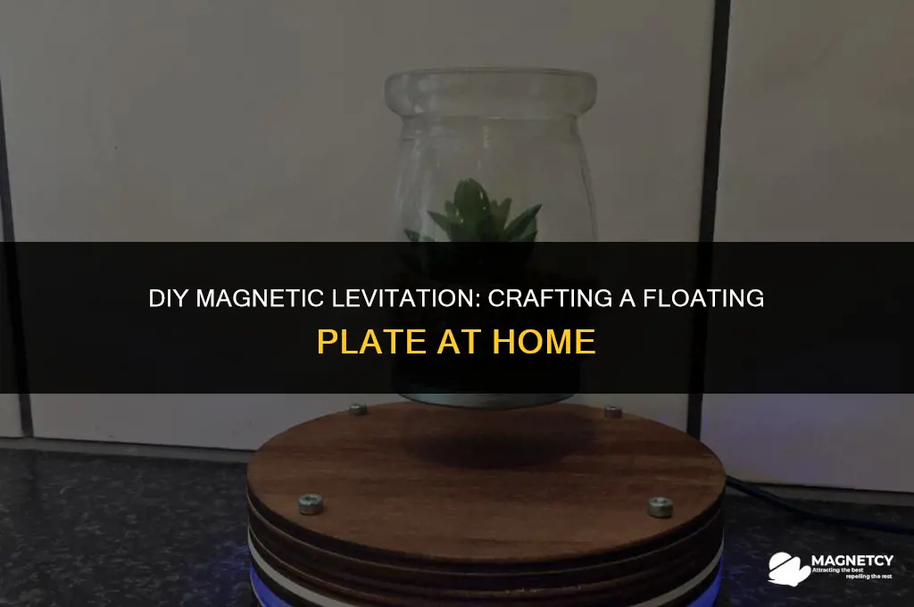 how to make a floating plate with magnets