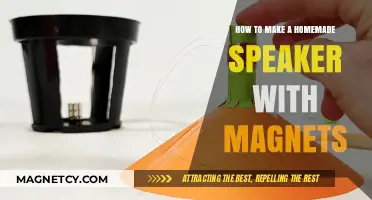 Crafting Sound: DIY Speaker Project Using Magnets