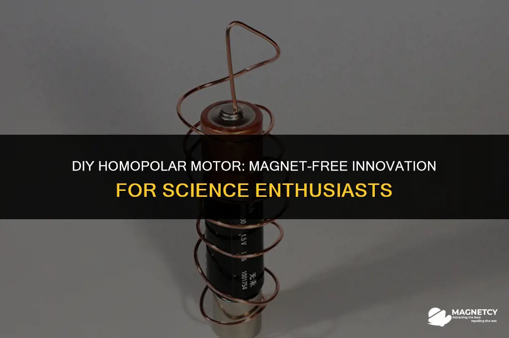 how to make a homopolar motor without a magnet