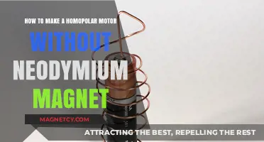 DIY Homopolar Motor: Alternatives to Neodymium Magnets Revealed