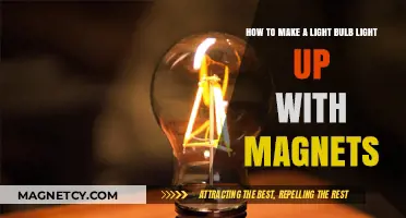 Illuminating Ideas: Powering Light Bulbs with Magnetic Magic