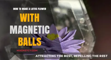 Crafting a Lotus Blossom: The Art of Magnetic Ball Sculptures