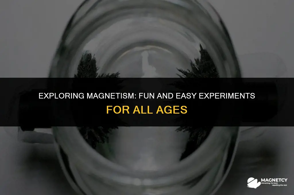 how to make a magnet experiment
