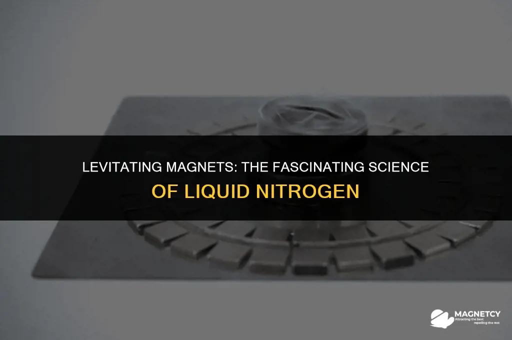 how to make a magnet float with liquid nitrogen
