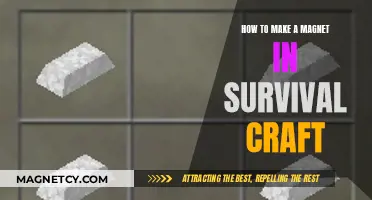 Crafting Survival Magnets: A Step-by-Step Guide