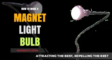DIY Magnetic Light Bulb: Illuminating Innovation with Simple Science