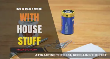 Crafting Creativity: DIY Magnet Making with Household Items