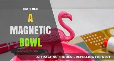 Crafting a Magnetic Bowl: A DIY Guide for Beginners