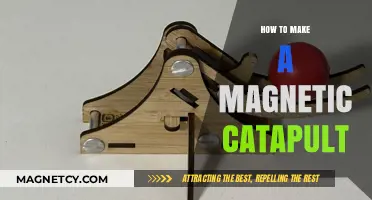 DIY Magnetic Catapult: Unleashing the Power of Magnets in a Fun Project