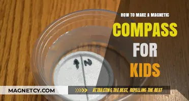 DIY Magnetic Compass: A Fun and Educational Project for Kids
