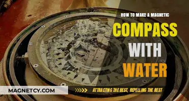Crafting a Water-Based Magnetic Compass: A Simple DIY Guide