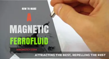 Crafting Magnetic Wonders: A DIY Guide to Ferrofluid Creation
