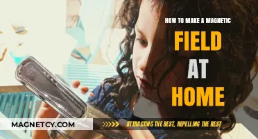 DIY Magnetic Field: Simple Steps to Create One at Home