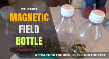 Crafting a Magnetic Field Bottle: A DIY Science Project