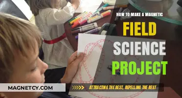 Exploring Magnetism: A Fun Science Project Guide