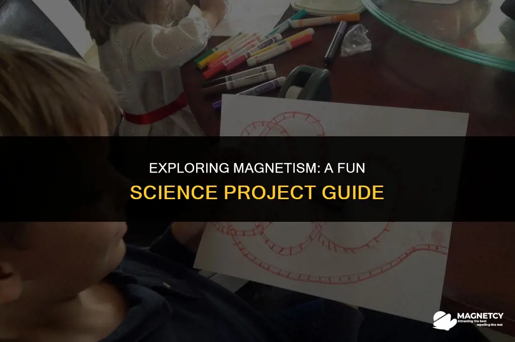 how to make a magnetic field science project