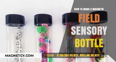 Crafting a Magnetic Field Sensory Bottle: A Fun DIY Project