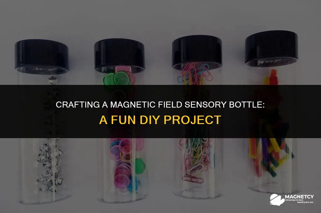 how to make a magnetic field sensory bottle