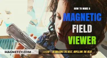 DIY Magnetic Field Viewer: Unveiling Invisible Forces