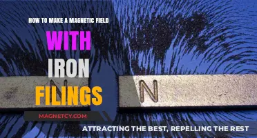 Crafting Invisible Forces: A Guide to Creating Magnetic Fields with Iron Filings