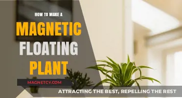 Levitate Your Greenery: A Guide to Creating Magnetic Floating Plants
