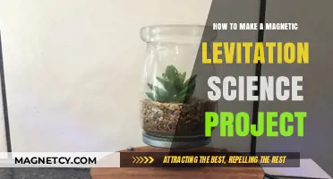 DIY Magnetic Levitation: A Fascinating Science Project Guide