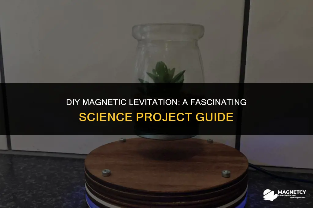 how to make a magnetic levitation science project
