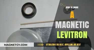 Crafting a Magnetic Levitron: A DIY Guide to Defying Gravity