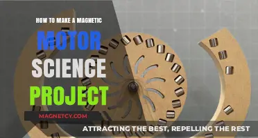 DIY Magnetic Motor: A Fascinating Science Project Guide