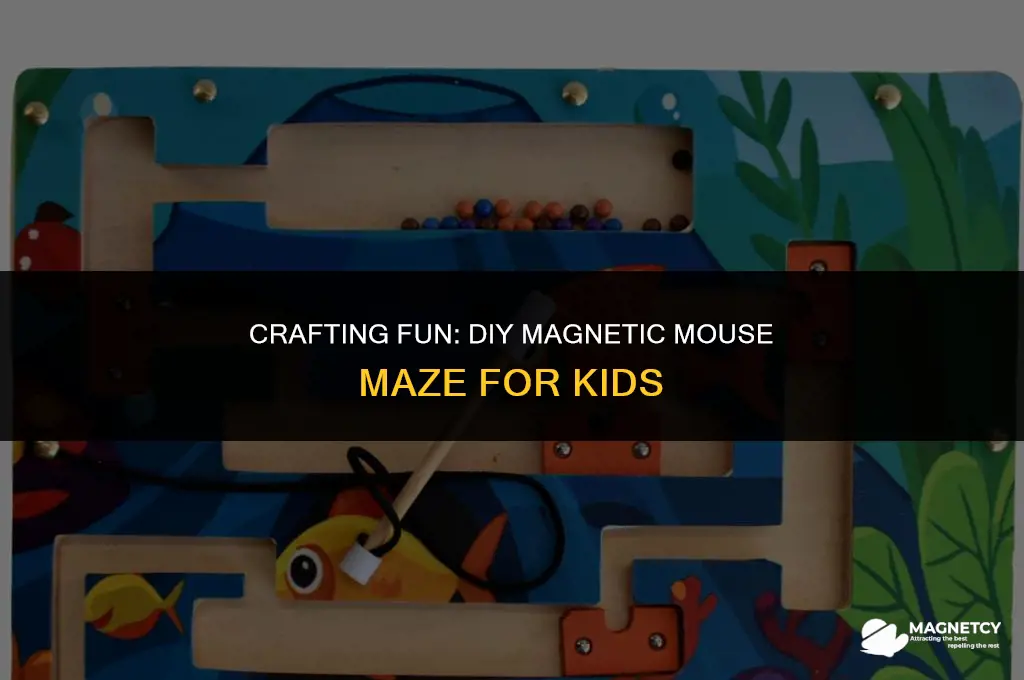 how to make a magnetic mouse maze