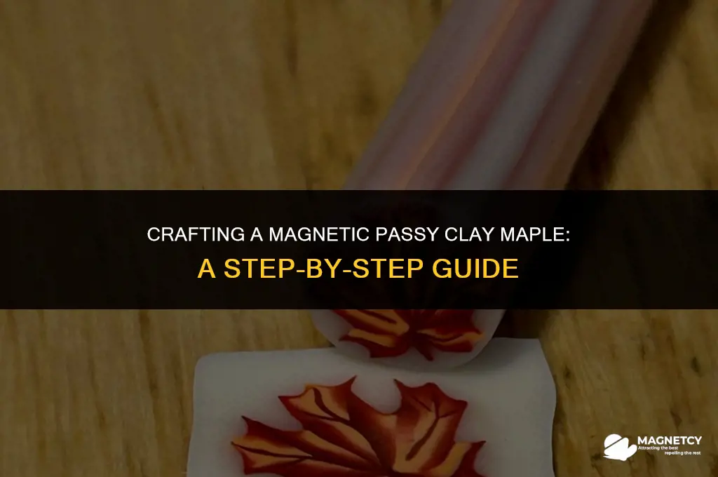 how to make a magnetic passy clay maple
