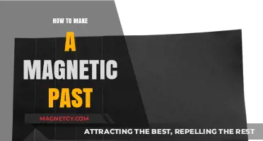 Crafting a Magnetic Past: Techniques for Effective History Writing